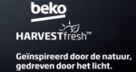 Beko GNE6049XPN amerikaanse koelkast Vrijstaand 539 l E Roestvrijstaal – Image 16