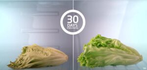 Beko RCNT375E40ZGBN | KOEL-VRIESCOMBINATIE | NoFrost | Zwart GlasDeur - Image 5